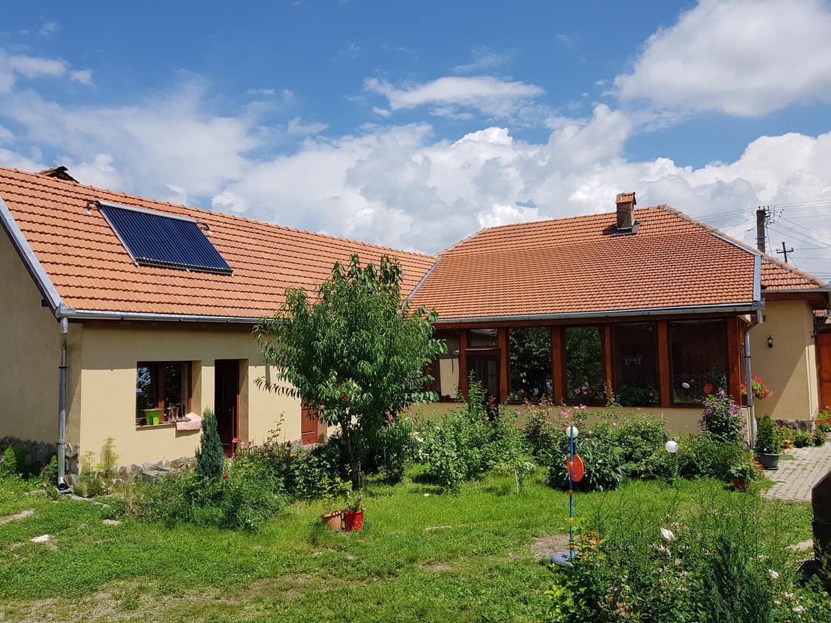 Hotel Ana-Dragusana Zewnętrze zdjęcie