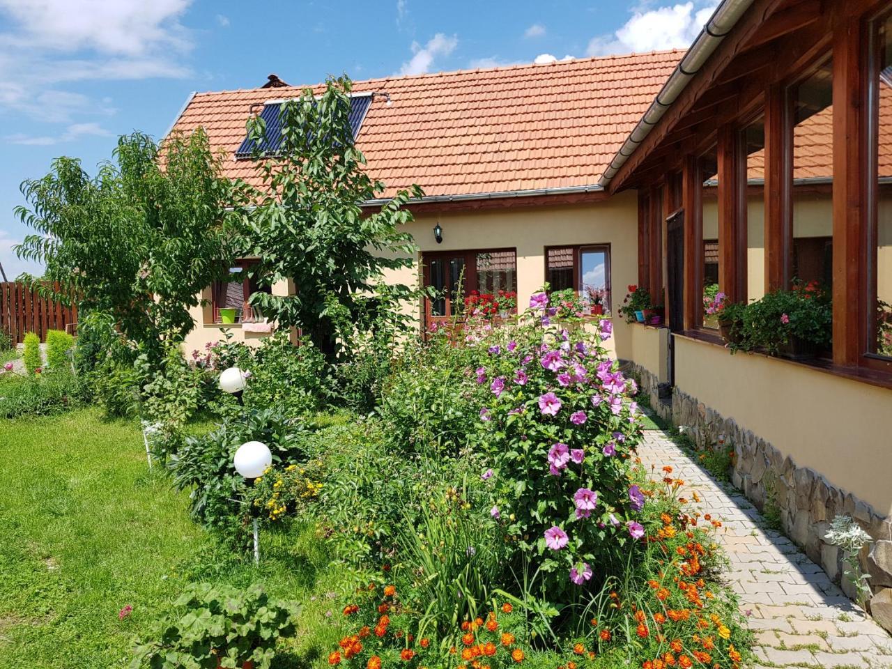 Hotel Ana-Dragusana Zewnętrze zdjęcie