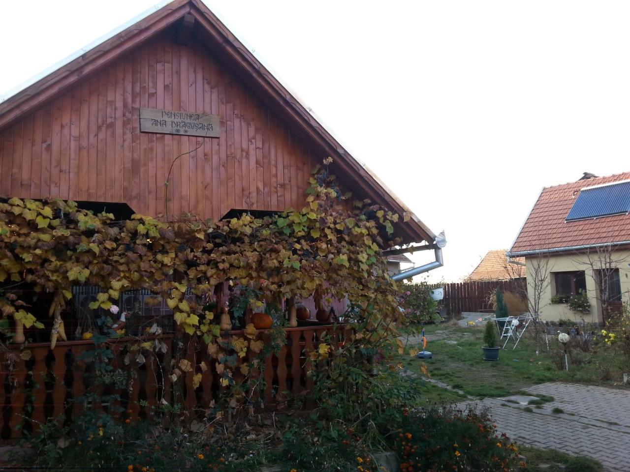 Hotel Ana-Dragusana Zewnętrze zdjęcie