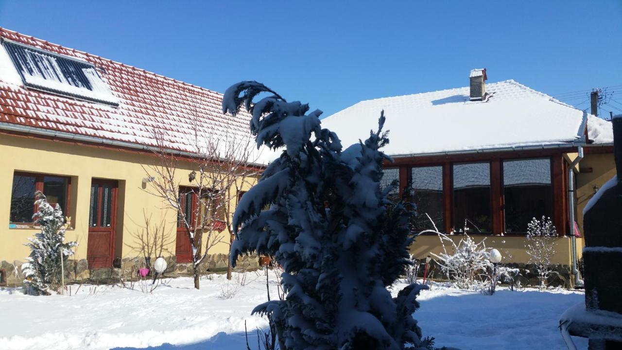 Hotel Ana-Dragusana Zewnętrze zdjęcie